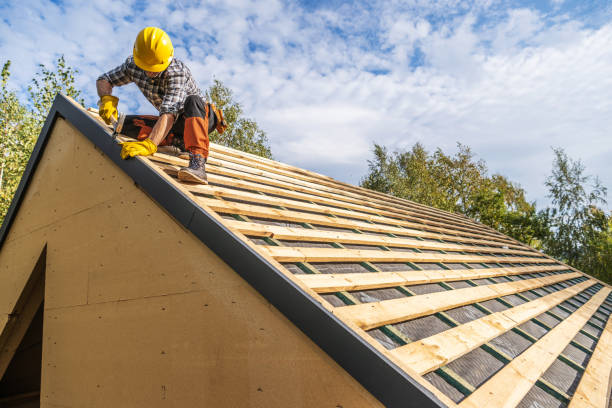 Best Roof Gutter Cleaning  in Troy, TN